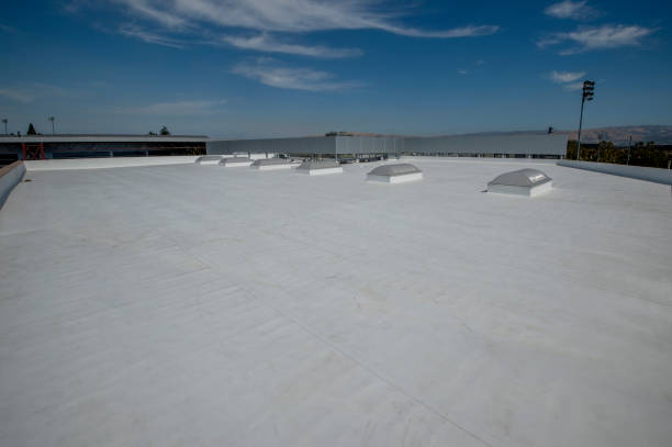 Best Asphalt Shingle Roofing  in Vandercook Lake, MI