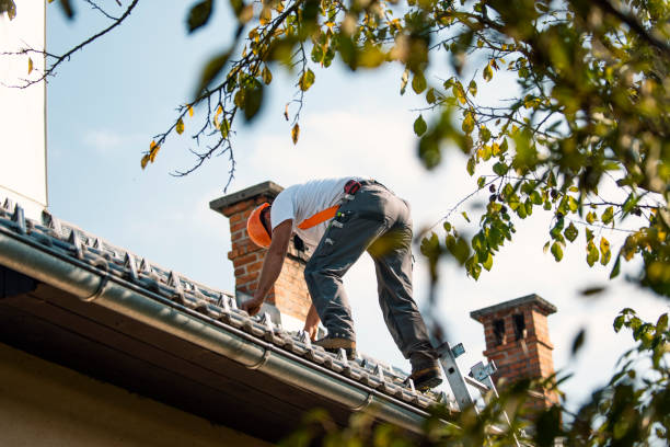 Best Roof Leak Repair  in Vandercook Lake, MI