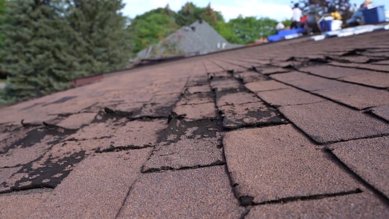 Best Roof Installation  in Vandercook Lake, MI