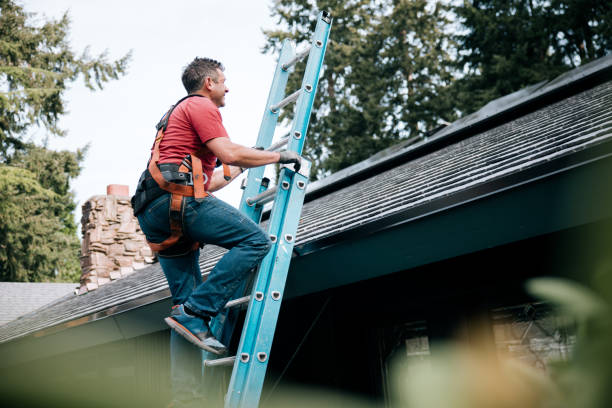 Best Asphalt Shingles Roofing  in Vandercook Lake, MI