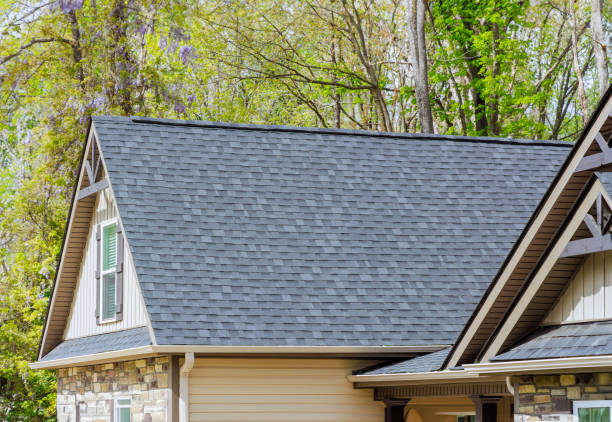 Best Roof Moss and Algae Removal  in Vandercook Lake, MI