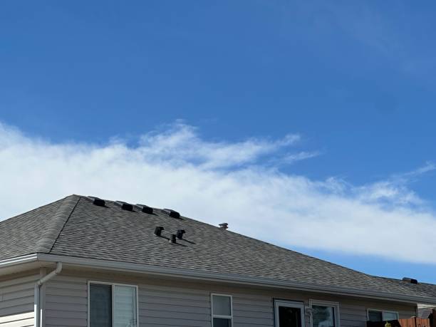 Trusted Vandercook Lake, MI Roofing Experts