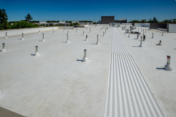 Best Wood Shake Roofing  in Vandercook Lake, MI