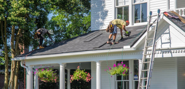 Best Roof Insulation Installation  in Vandercook Lake, MI